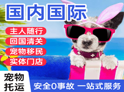 涟水机场物流国际宠物托运 【国